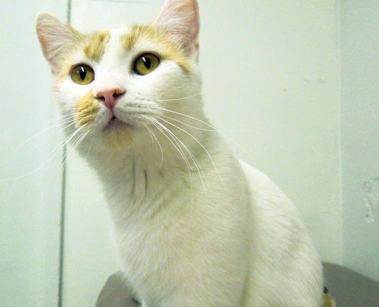 Someone to love: Twinkle